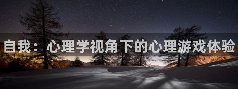 自我：心理学视角下的心理游戏体验