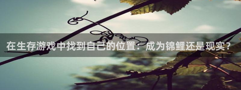 尊龙养生会所怎么样：在生存游戏中找到自己的位置：成为锦鲤还是